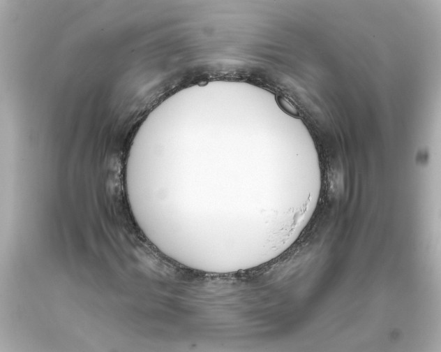 X0000093390964200711011307