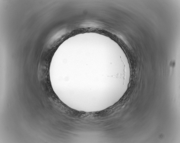 X0000093390967200711011307