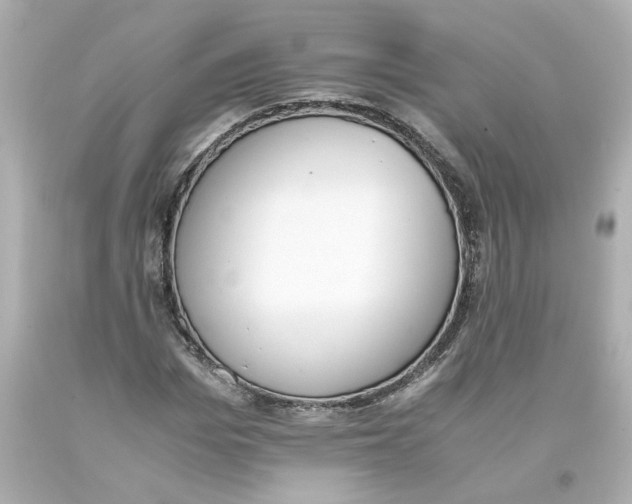 X0000093390969200711011307