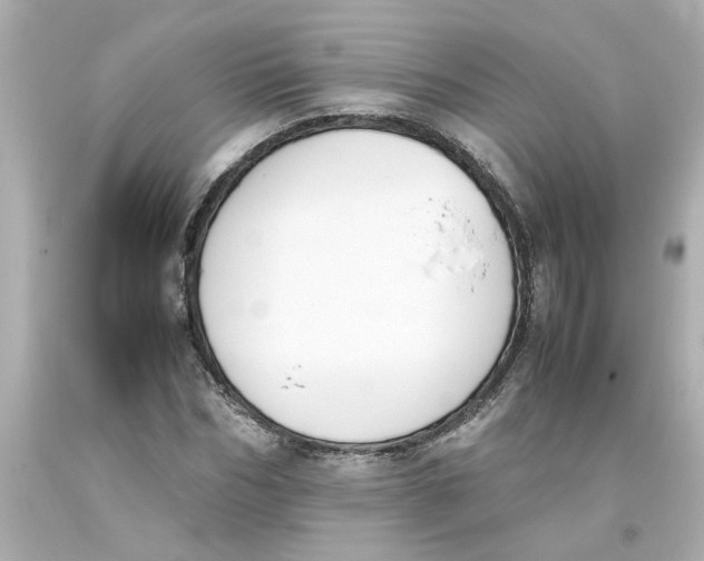 X0000093390970200711011307