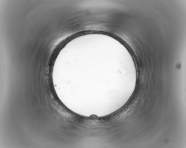 X0000093390971200711011307