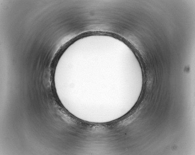 X0000093390974200711011307