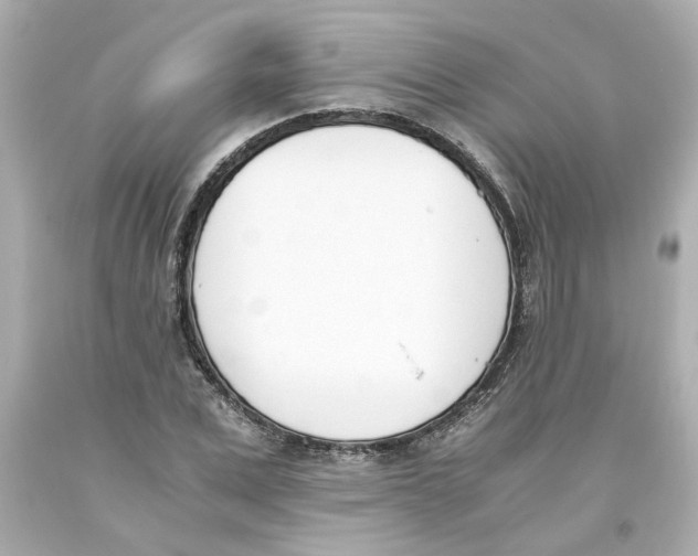 X0000093390975200711011307