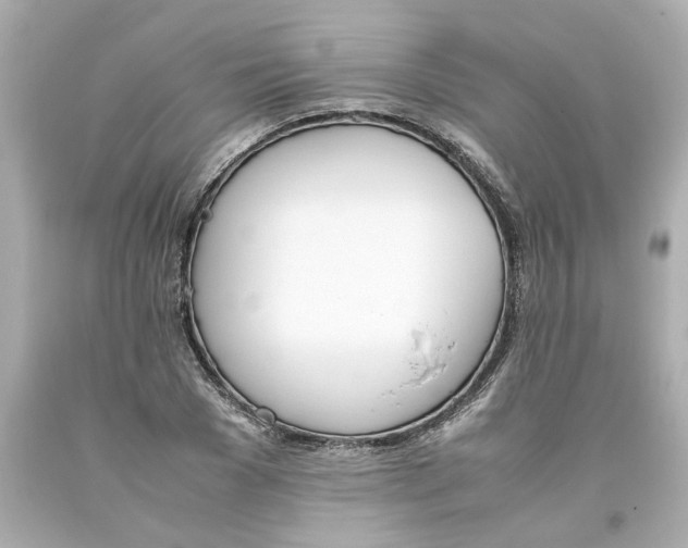 X0000093390977200711011307