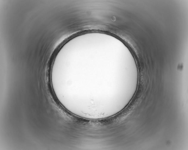 X0000093390983200711011307