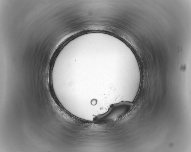 X0000093390984200711011307