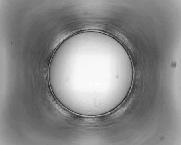 X0000093390985200711011307