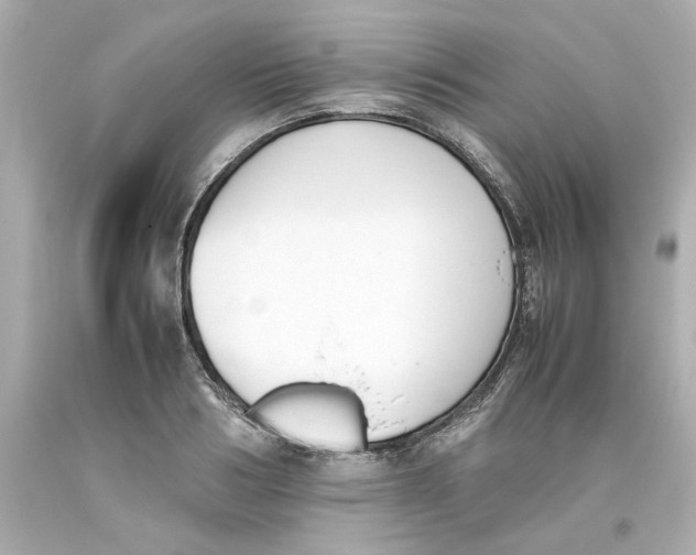 X0000093390986200711011307