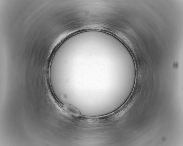 X0000093390989200711011307