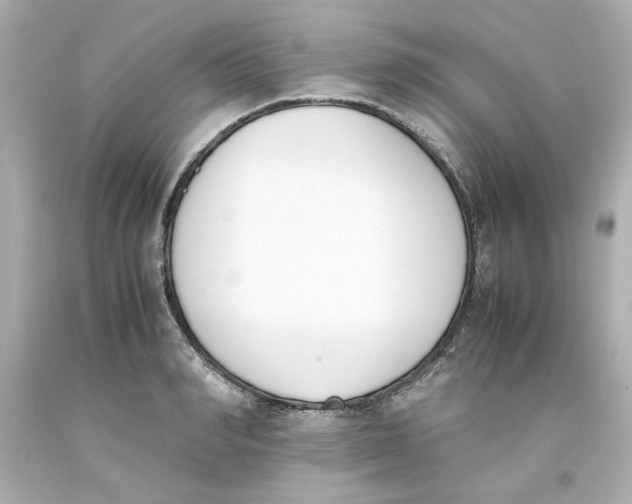 X0000093390990200711011307