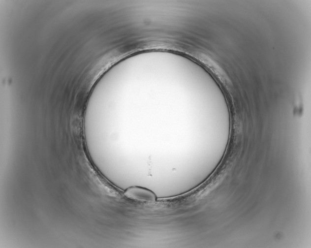 X0000093390993200711011307