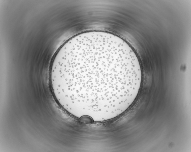 X0000093390994200711011307