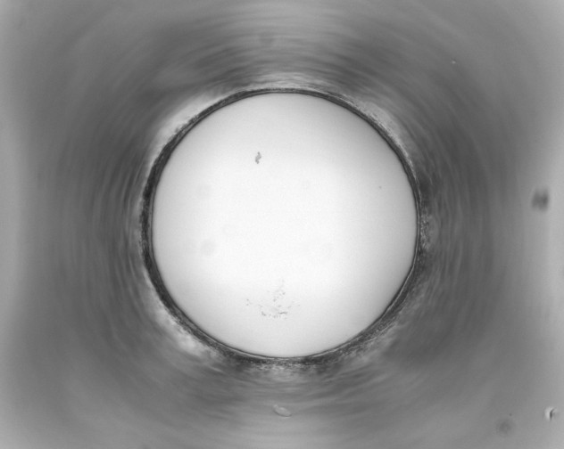 X0000093390995200711011307