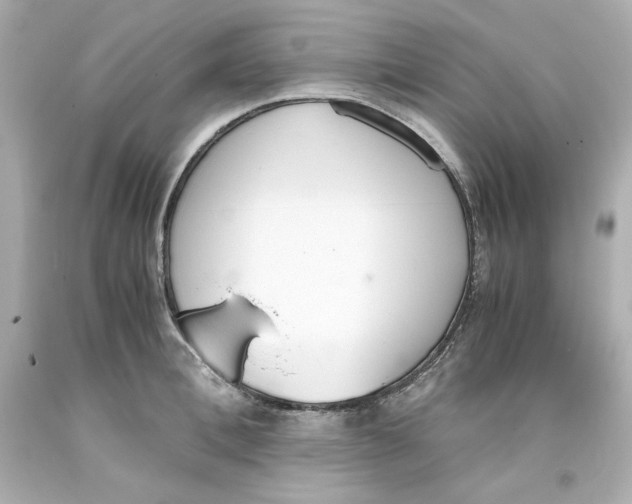 X0000093390996200711011307