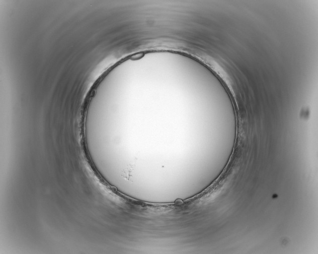 X0000093390997200711011307