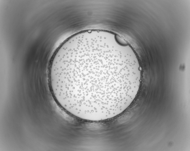 X0000093390998200711011307