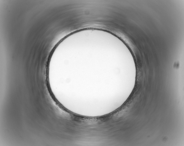 X0000093390999200711011307