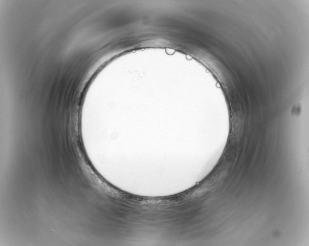 X0000093391000200711011307