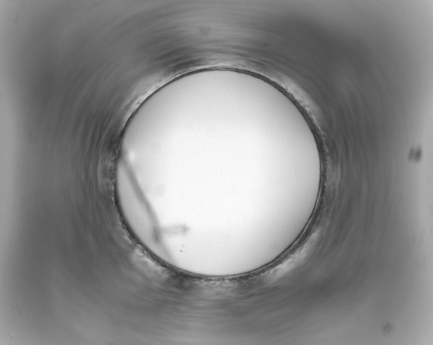 X0000093391001200711011307