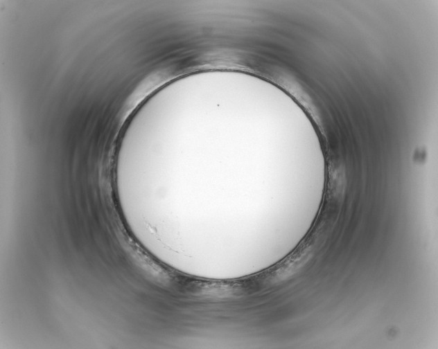 X0000093391002200711011307