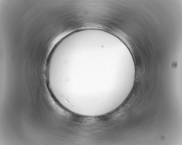 X0000093391003200711011307