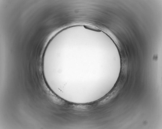 X0000093391004200711011307