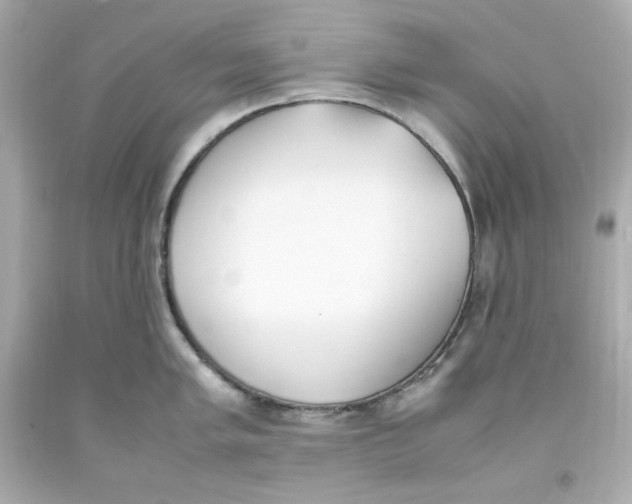 X0000093391005200711011307