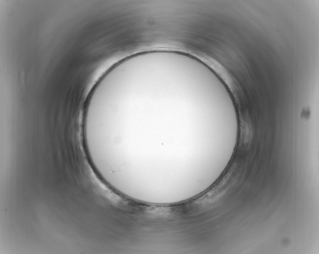 X0000093391006200711011307