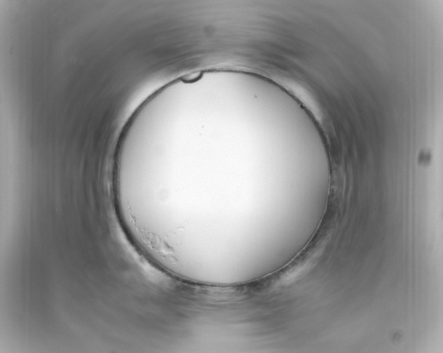 X0000093391007200711011307