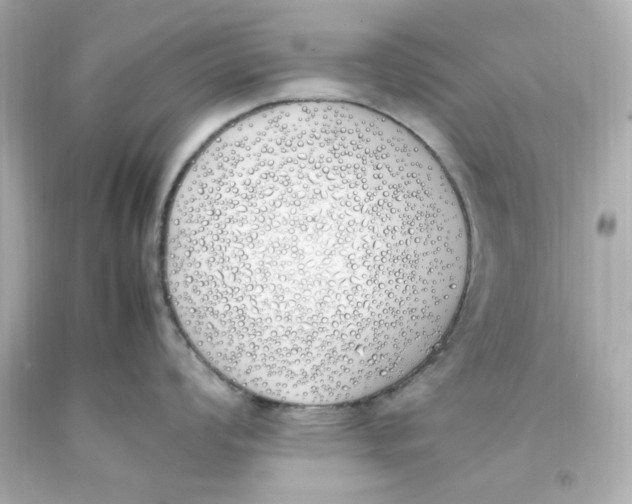 X0000093391008200711011307