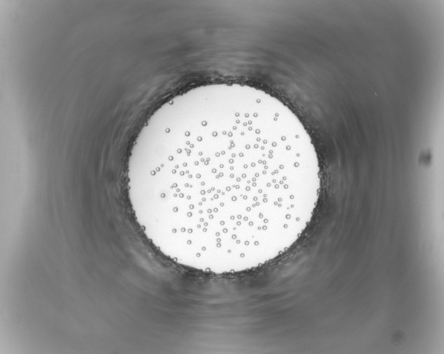 X0000093391009200711011306