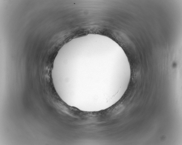 X0000093391010200711011306