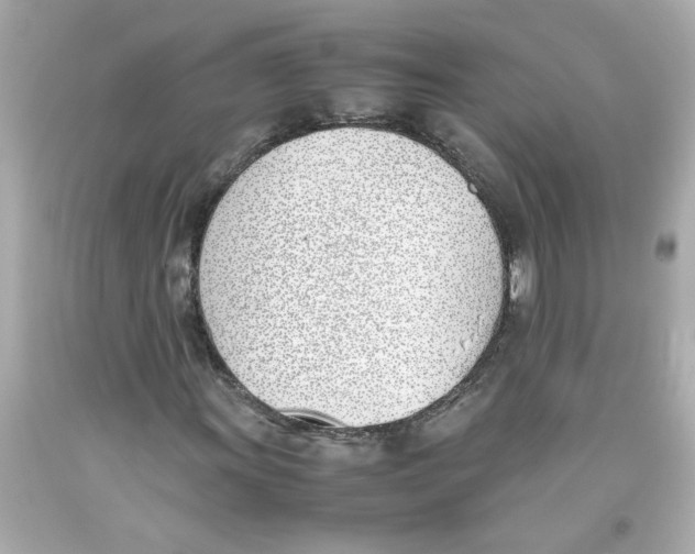 X0000093391011200711011306