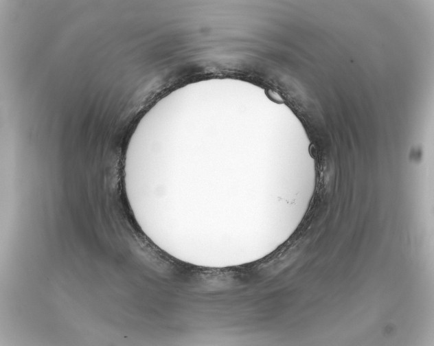 X0000093391012200711011306