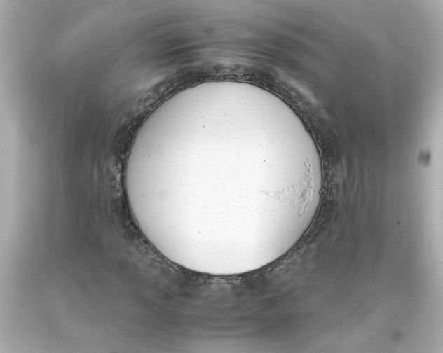 X0000093391013200711011306