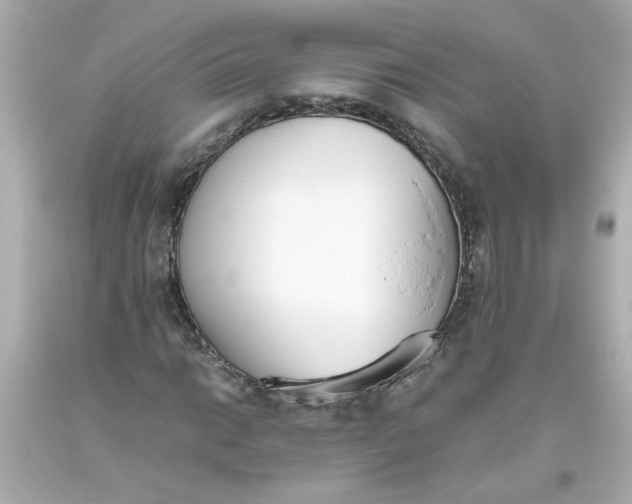 X0000093391014200711011306