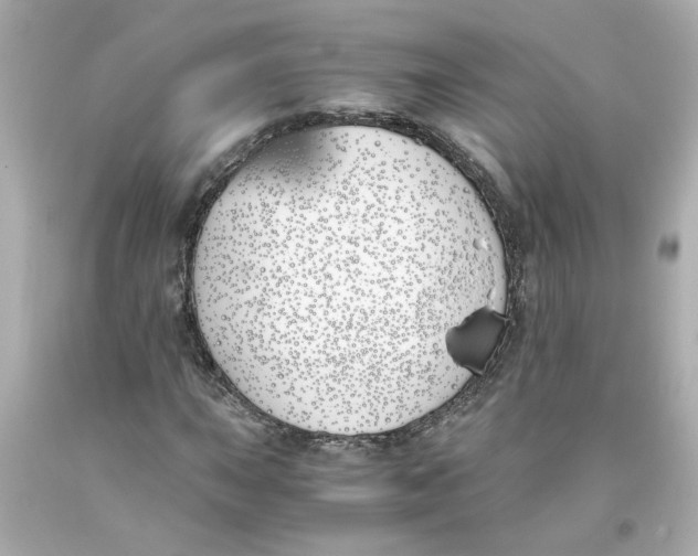 X0000093391015200711011306