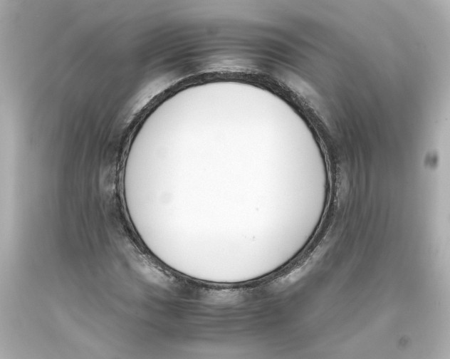 X0000093391017200711011306