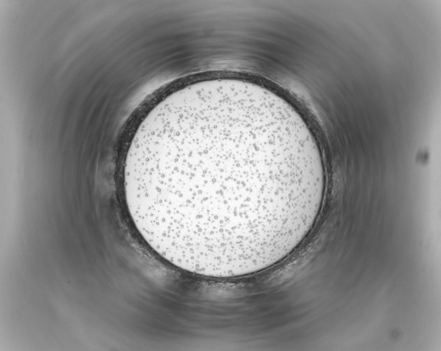 X0000093391019200711011306