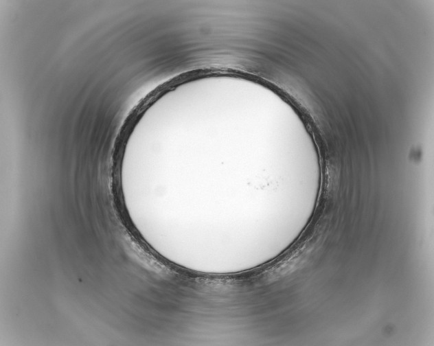 X0000093391020200711011306