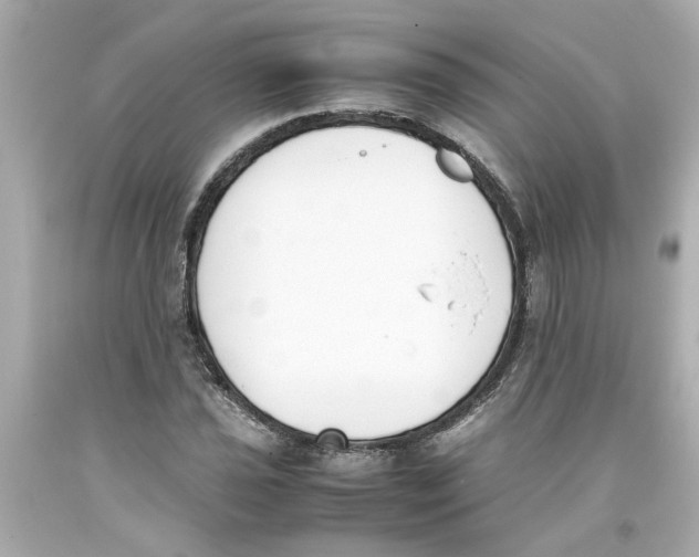 X0000093391021200711011306