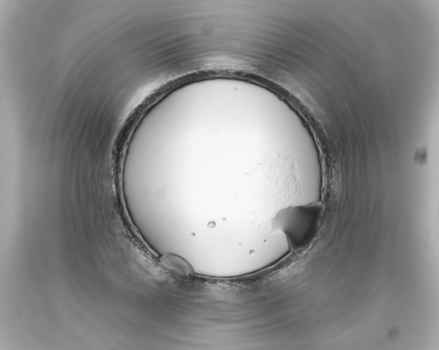 X0000093391022200711011306