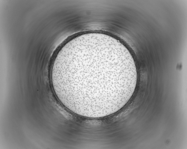 X0000093391023200711011306