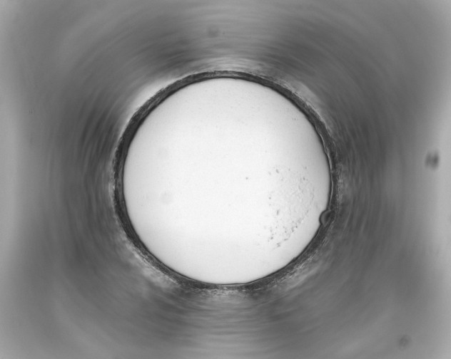 X0000093391024200711011306