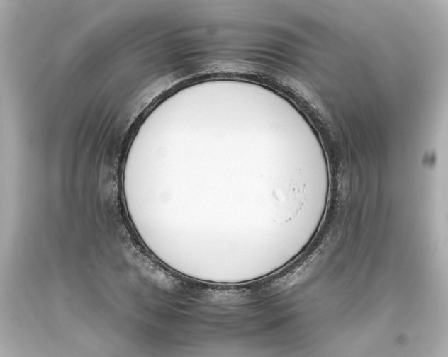 X0000093391025200711011306