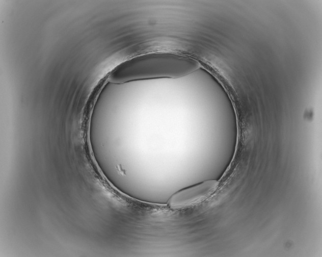 X0000093391026200711011306