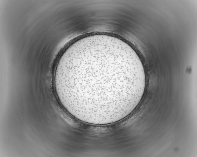 X0000093391027200711011306