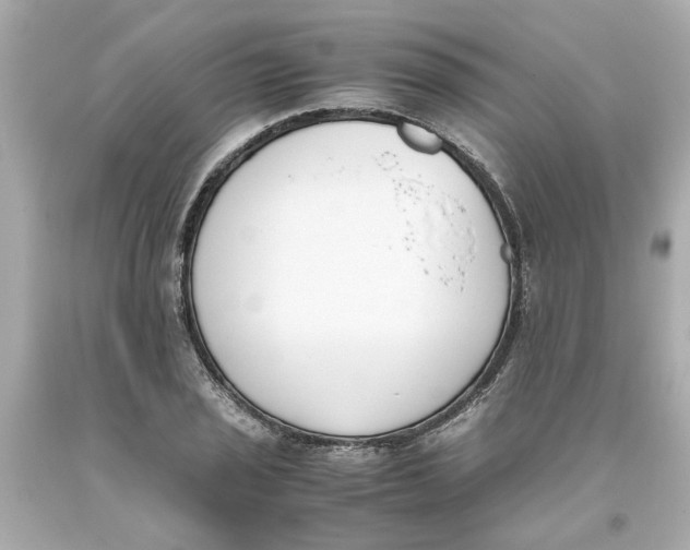 X0000093391029200711011306