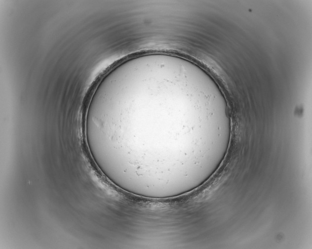 X0000093391030200711011306