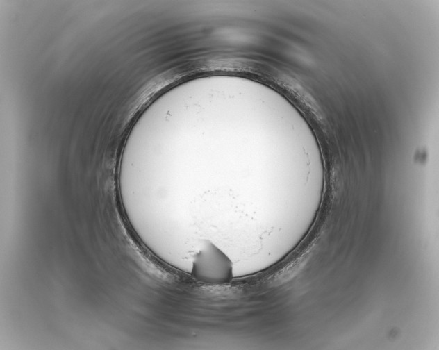 X0000093391033200711011306